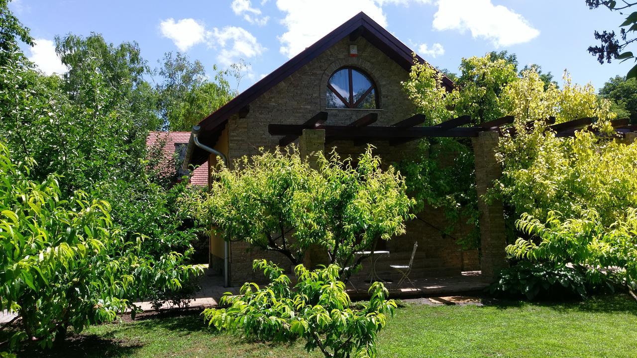 Duzzogo Vendeghaz Agard Villa Gardony Exterior photo