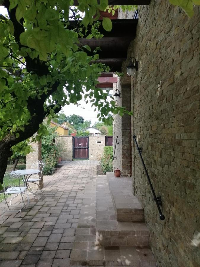 Duzzogo Vendeghaz Agard Villa Gardony Exterior photo